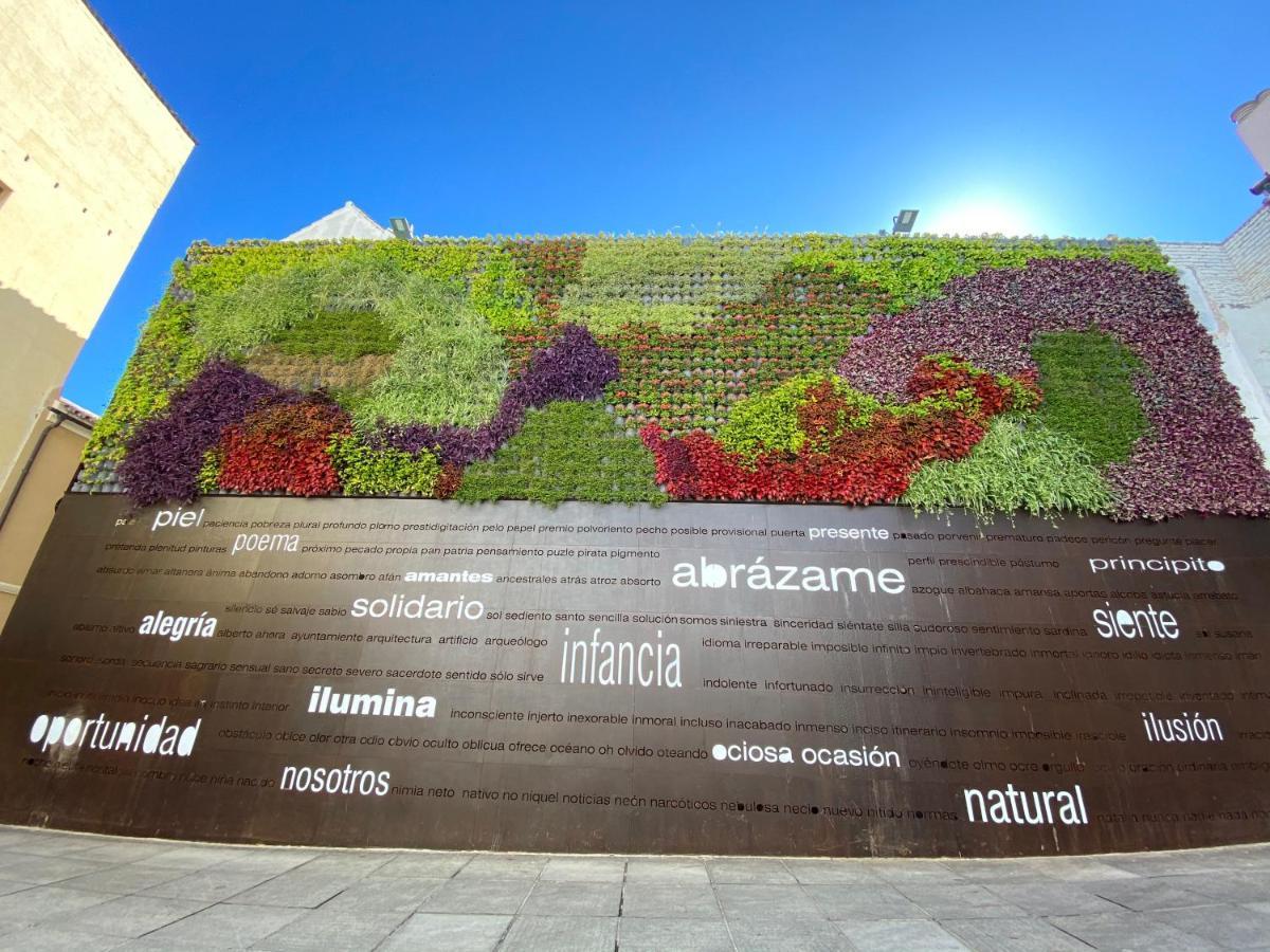 Pozos Dulces 9.2 Lovely Apartment Historical Centre מאלגה מראה חיצוני תמונה